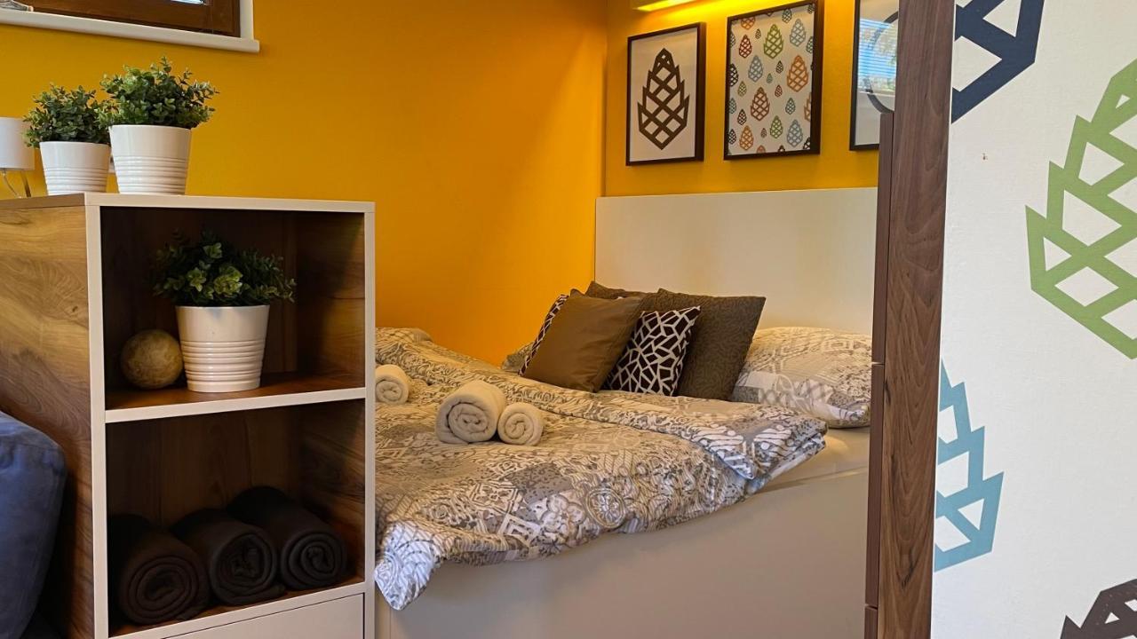 Apartmany Pinie Lipno Ліпно-над-Влтавою Екстер'єр фото