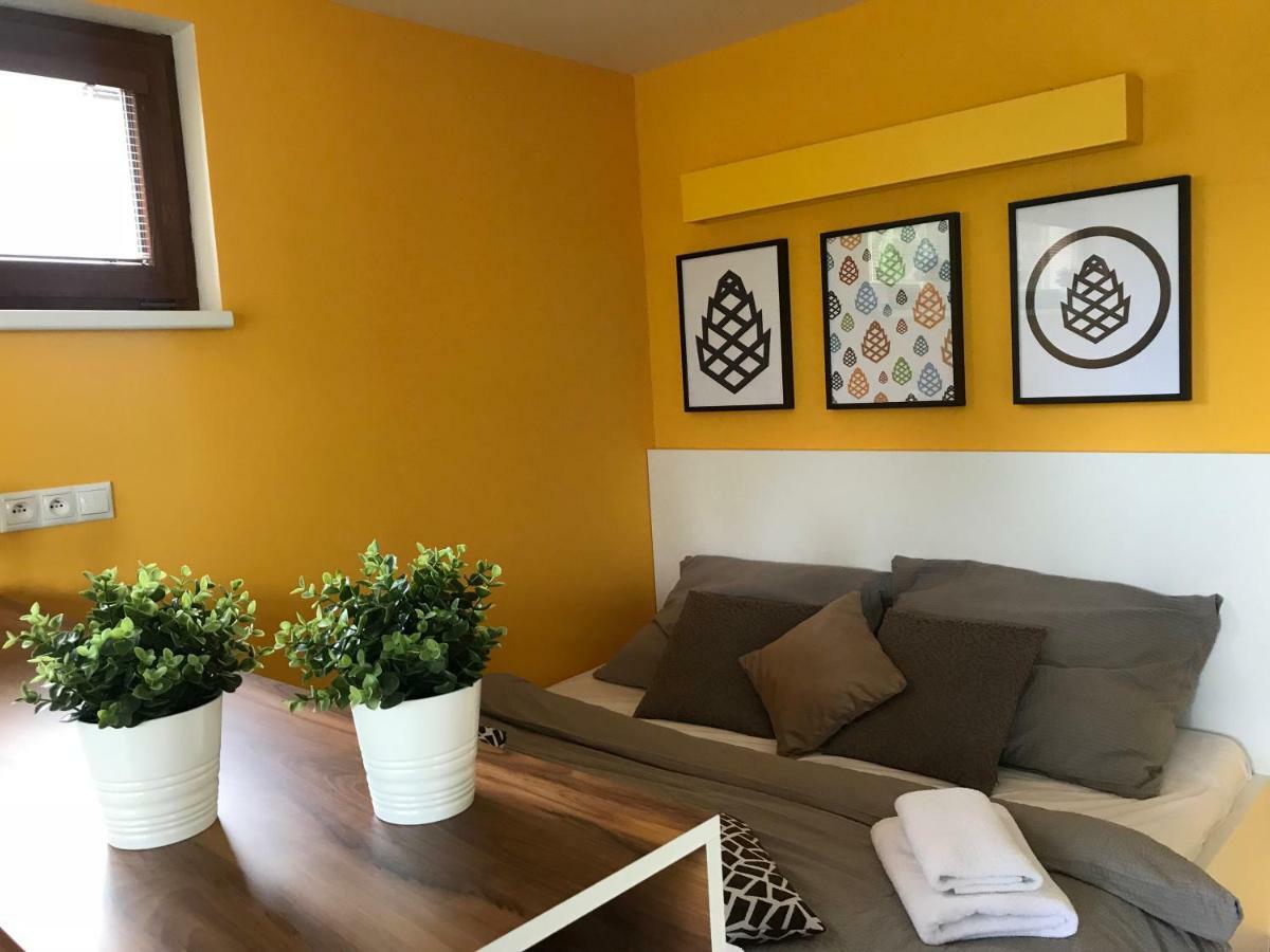 Apartmany Pinie Lipno Ліпно-над-Влтавою Екстер'єр фото